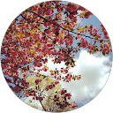 Aimee Adkins profile picture